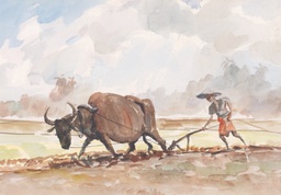 Ploughing