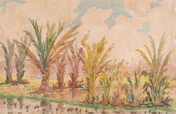 Young Palms