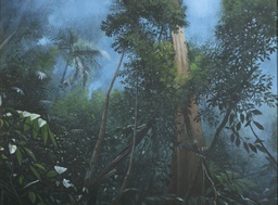 Malaysian Rainforest
